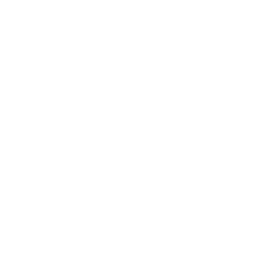 Team Arch